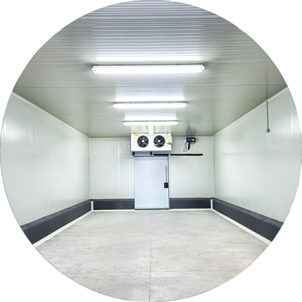 Walk-in cool rooms Tauranga Walk-in cool rooms Tauranga