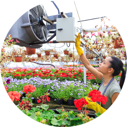Air conditioning for greenhouse Air conditioning for greenhouse