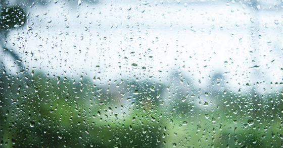 Humidity Control Humidity Control